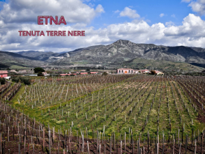 ETNA TENUTA TERRE NERE MS